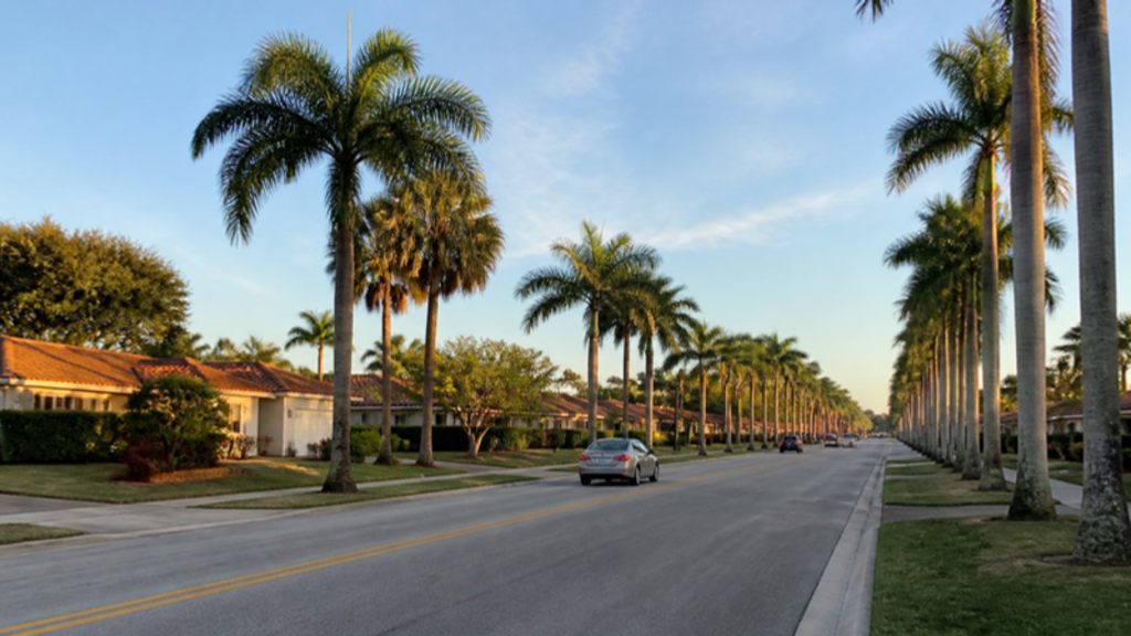 Palm-lined residential street in South Florida with a few cars driving in late-afternoon light